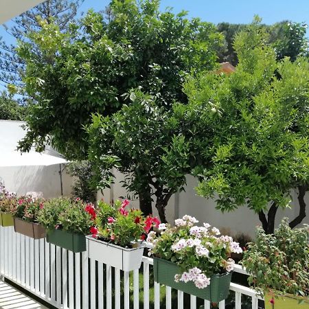 Вилла Mondello Beach The House With Green Lawns Экстерьер фото